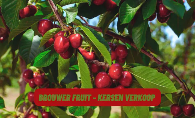 Brouwer Fruit - Kersen Verkoop