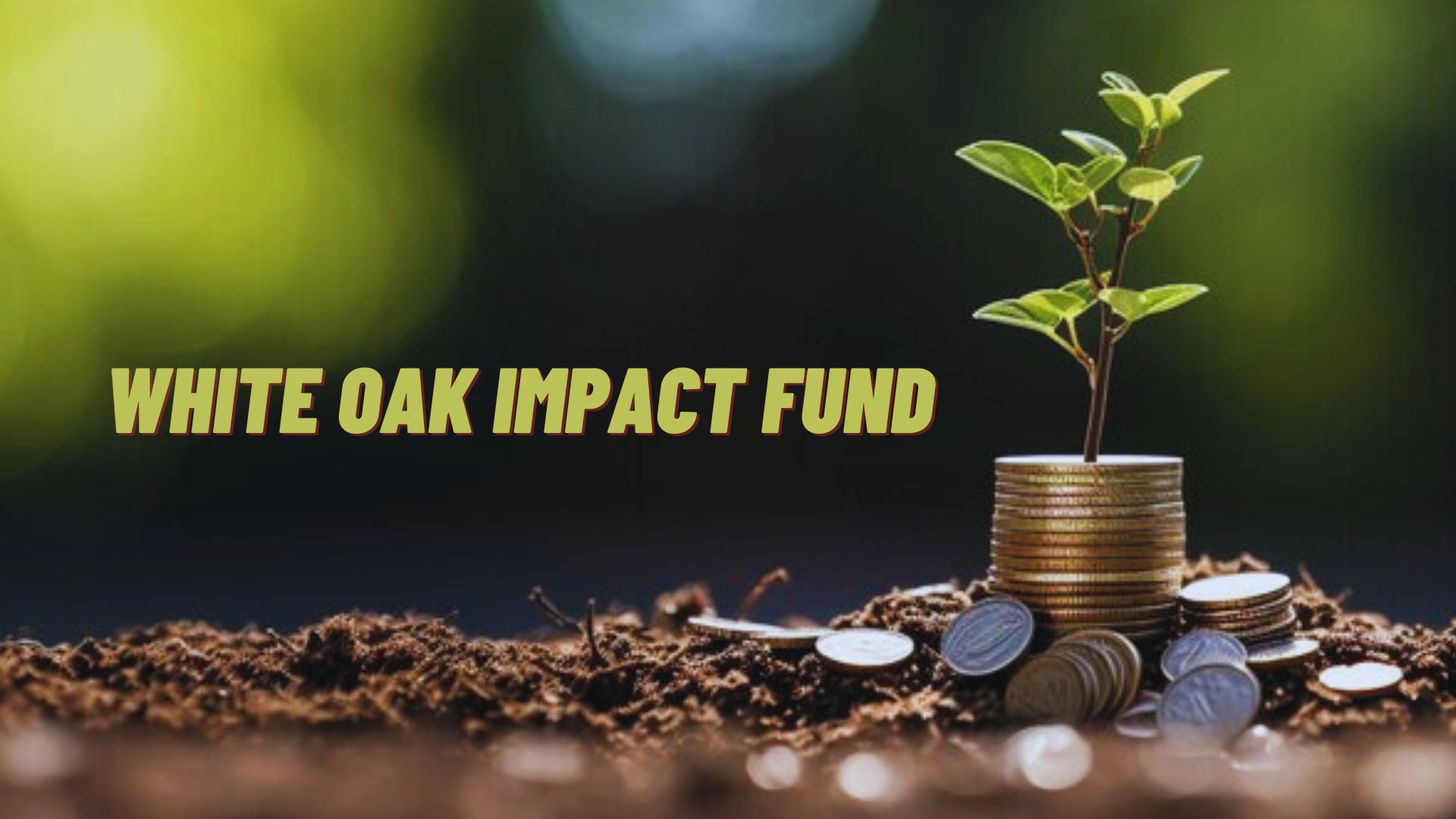 white oak impact fund