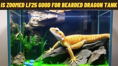 is zoomed lf25 good for bearded dragon tank