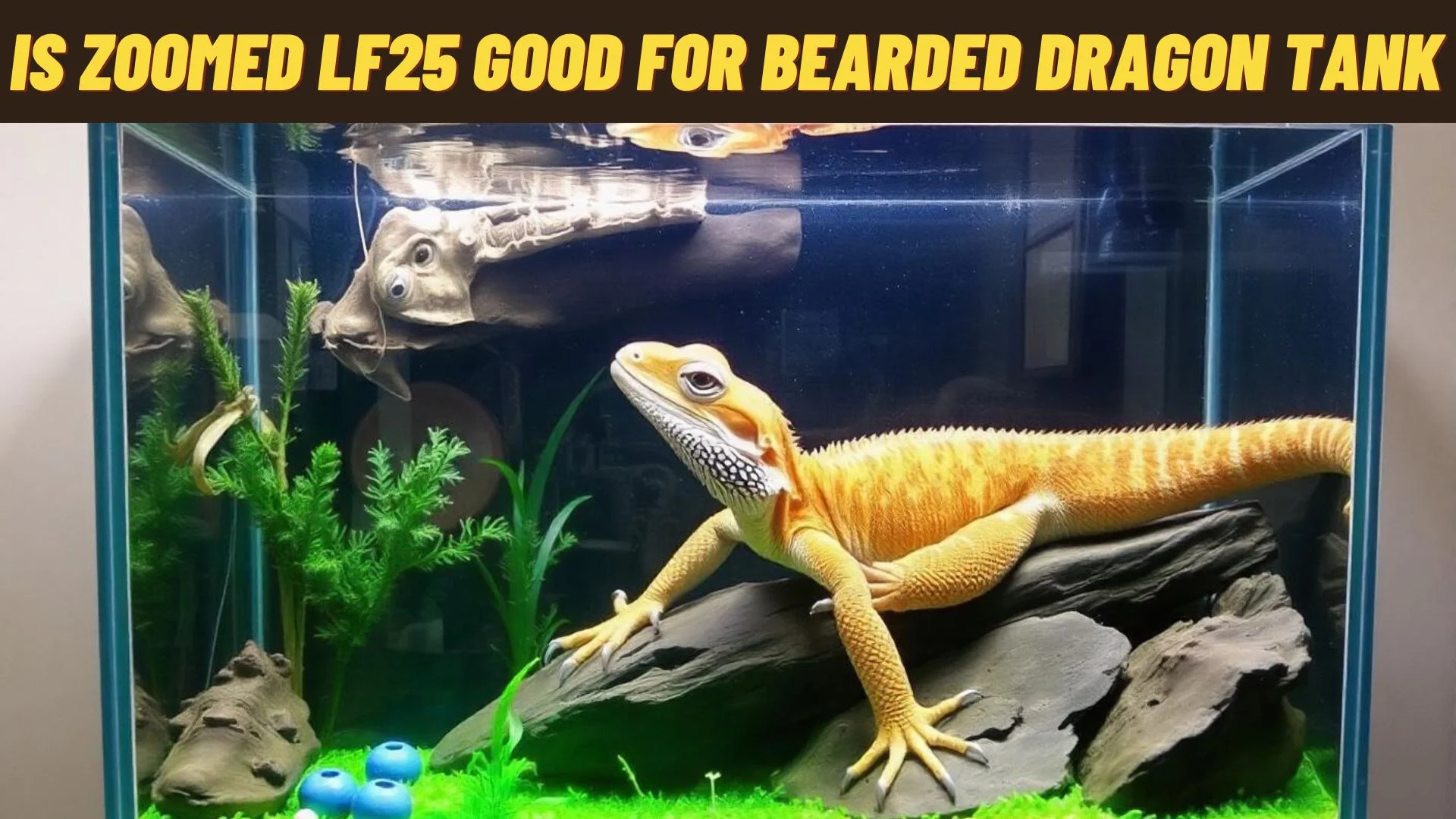 is zoomed lf25 good for bearded dragon tank