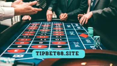 tipbet88.site